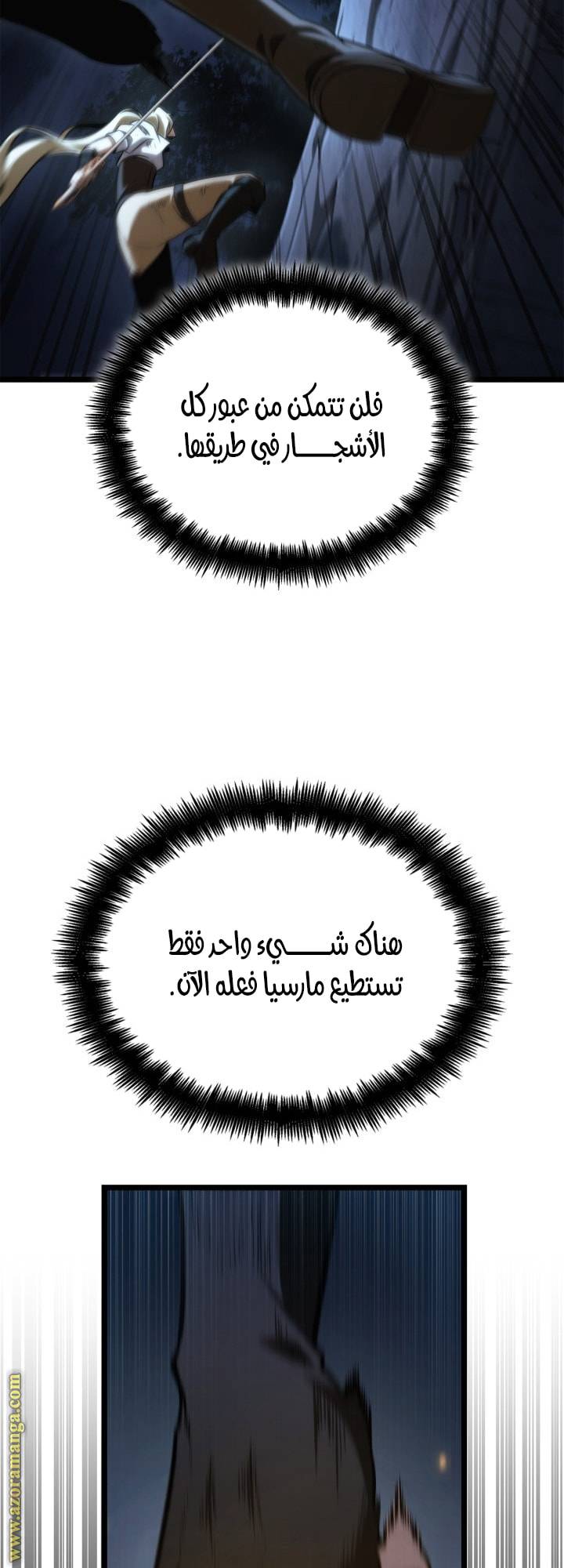 الصفحة 71