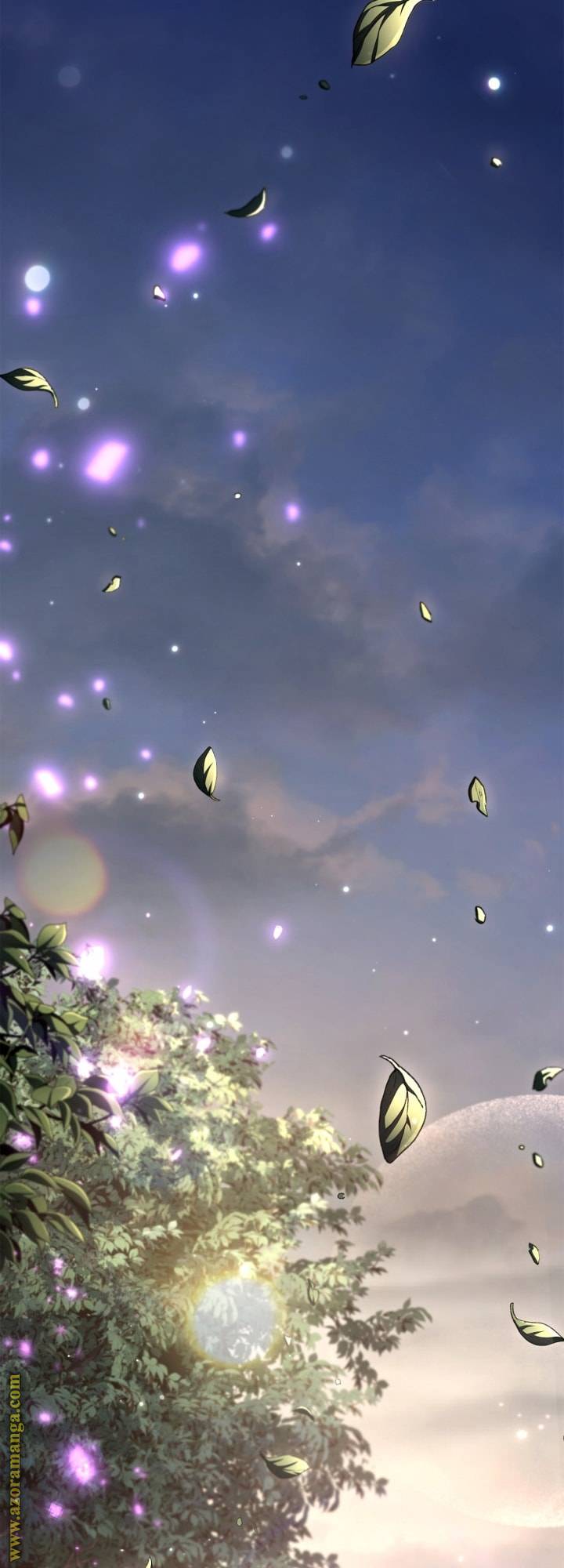 الصفحة 24