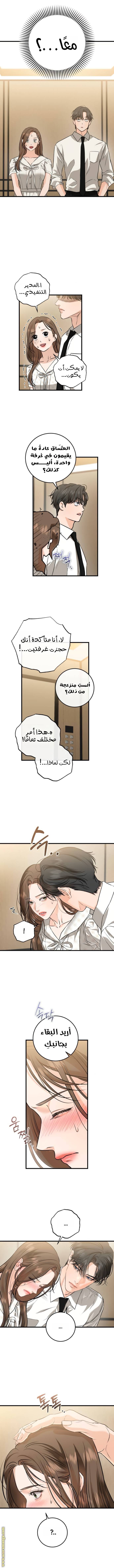 الصفحة 6