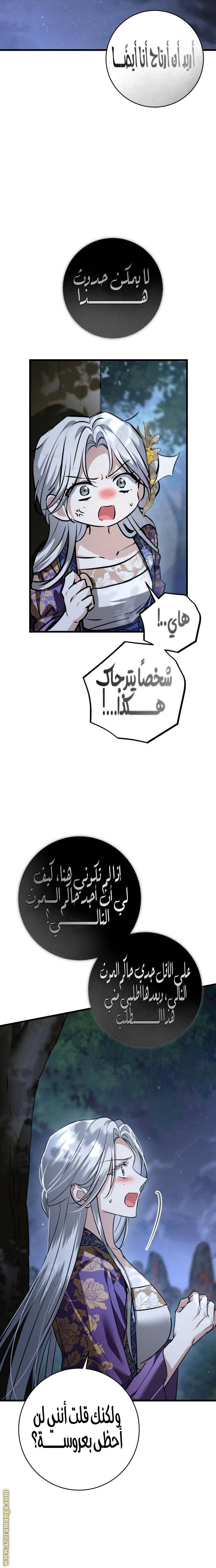 الصفحة 29