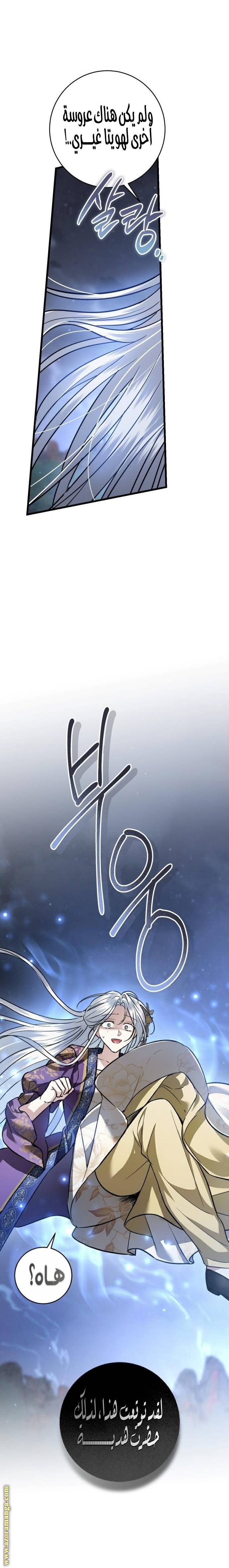 الصفحة 30