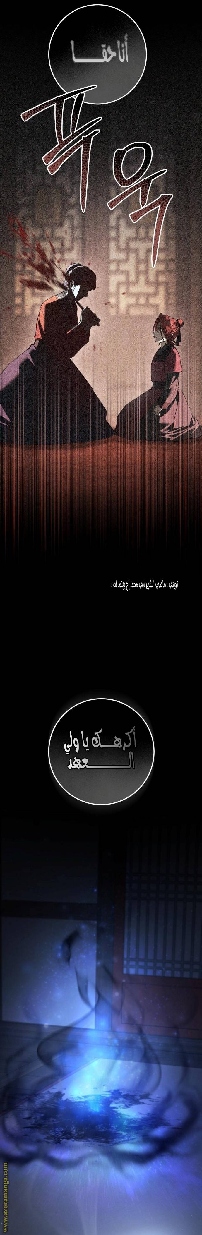 الصفحة 13