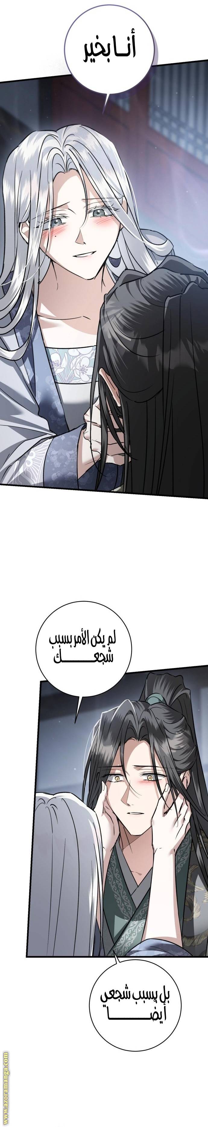 الصفحة 17