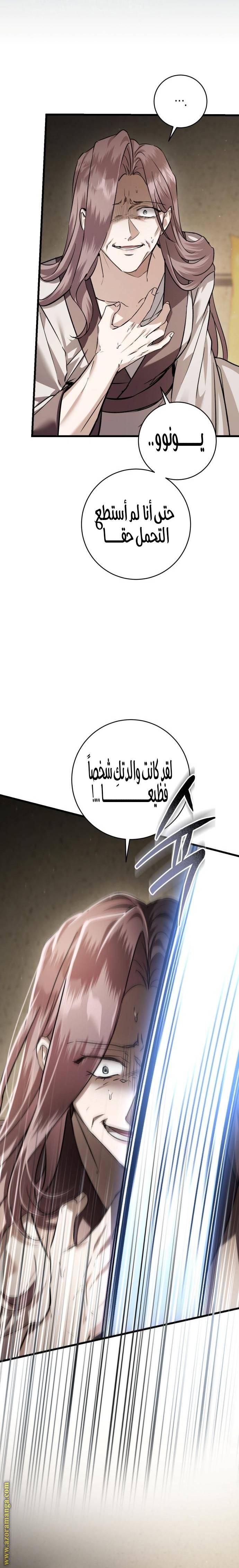 الصفحة 26