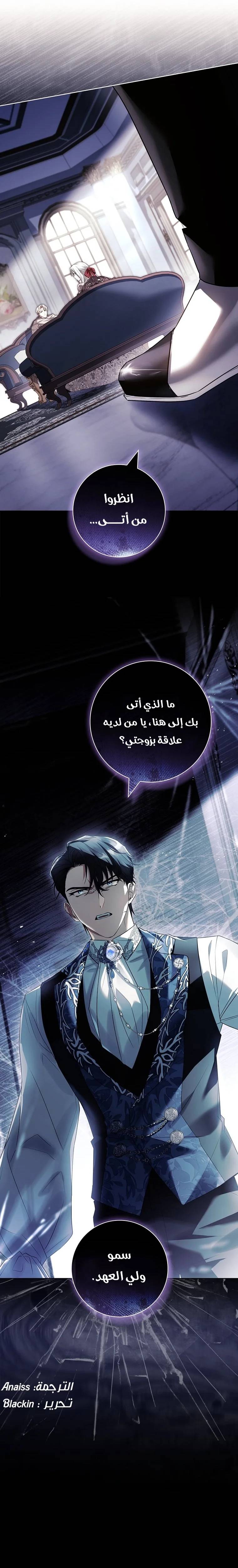 الصفحة 27