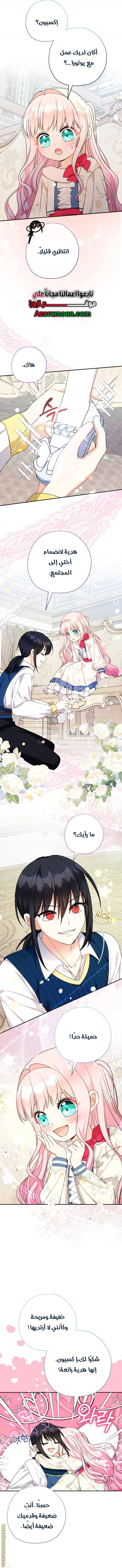 الصفحة 11