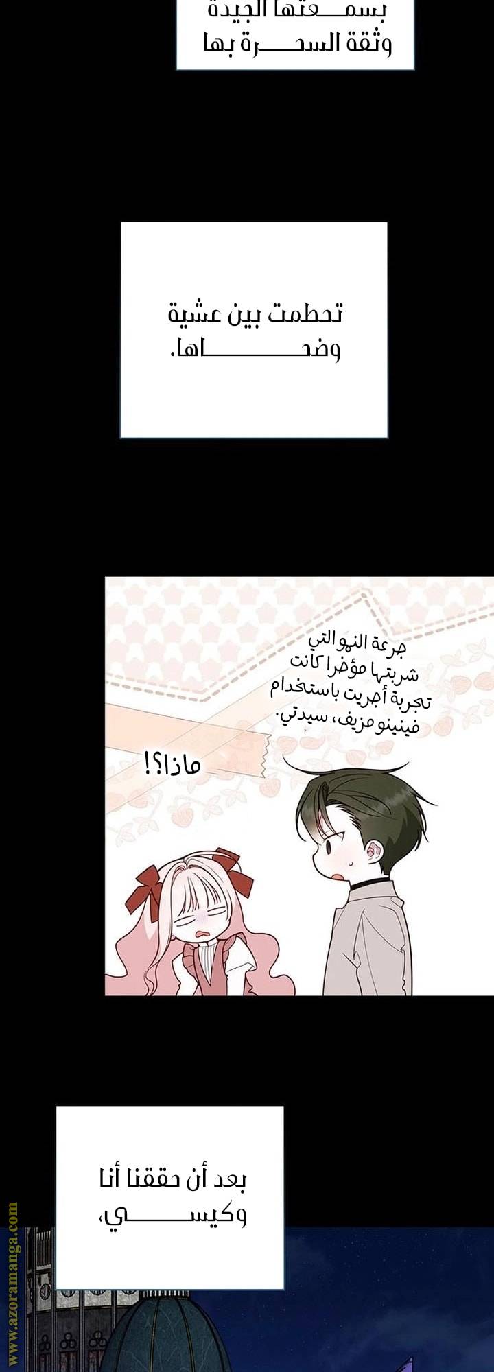 الصفحة 25