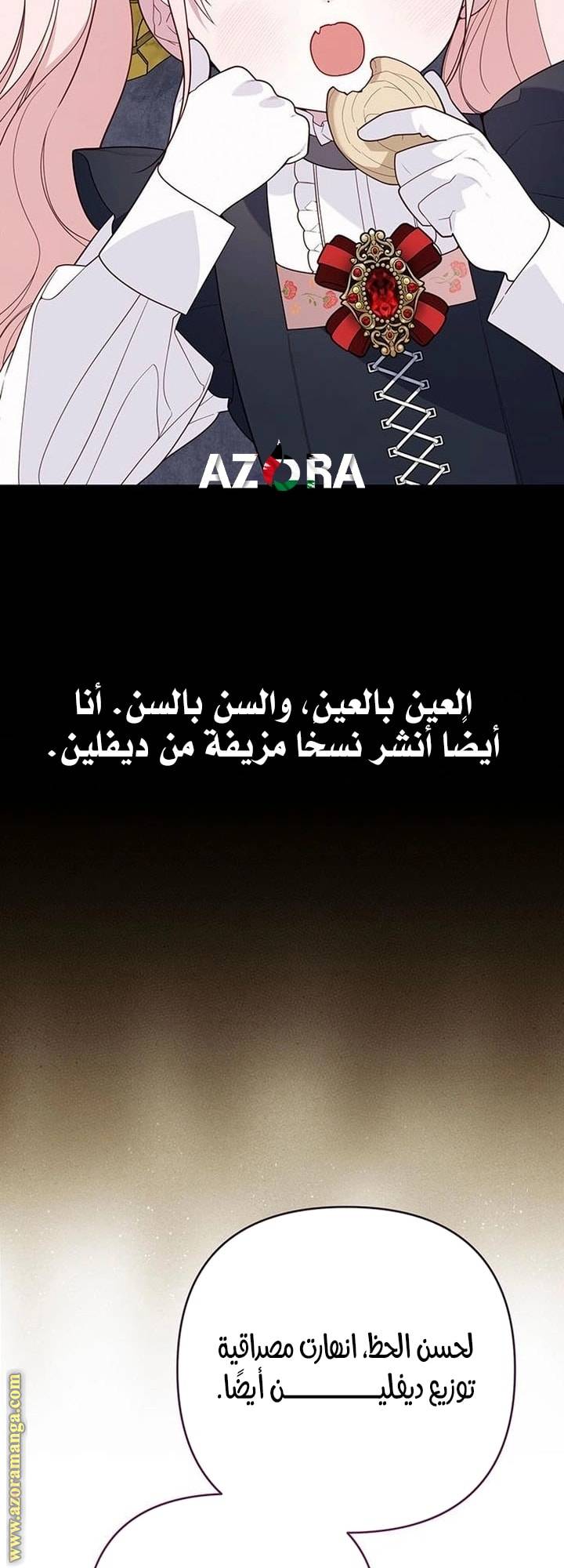 الصفحة 27