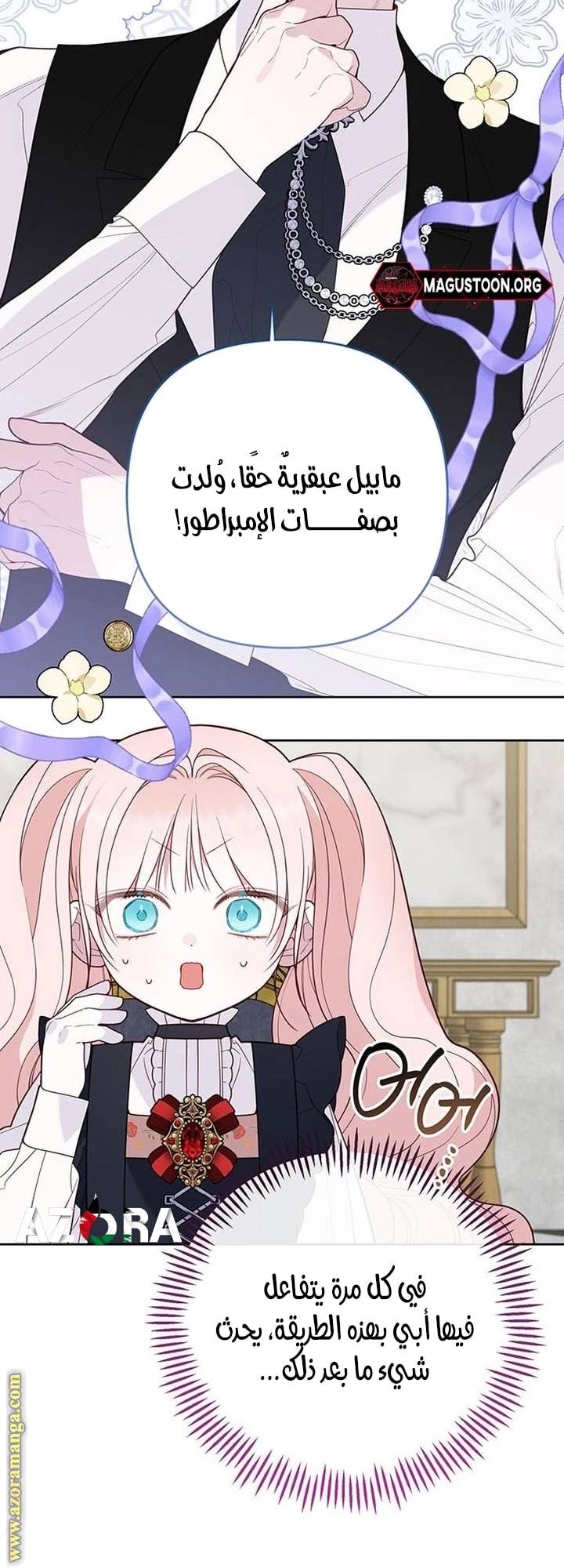 الصفحة 43