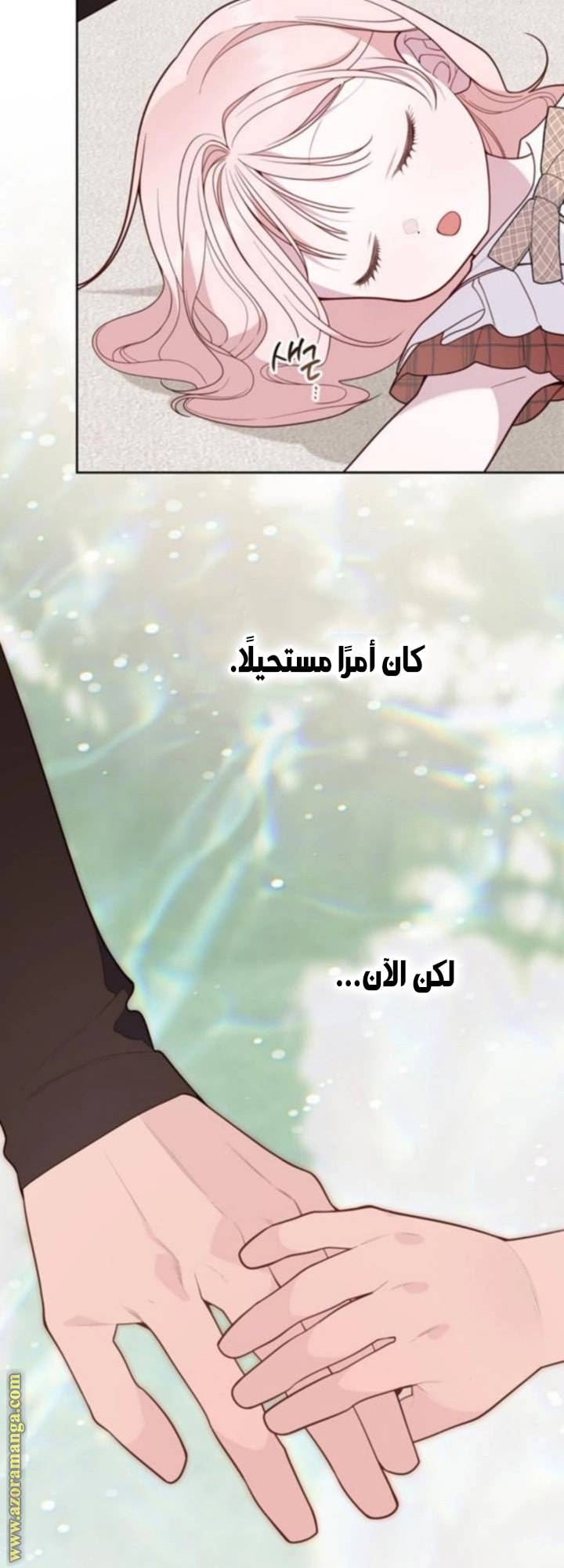 الصفحة 20