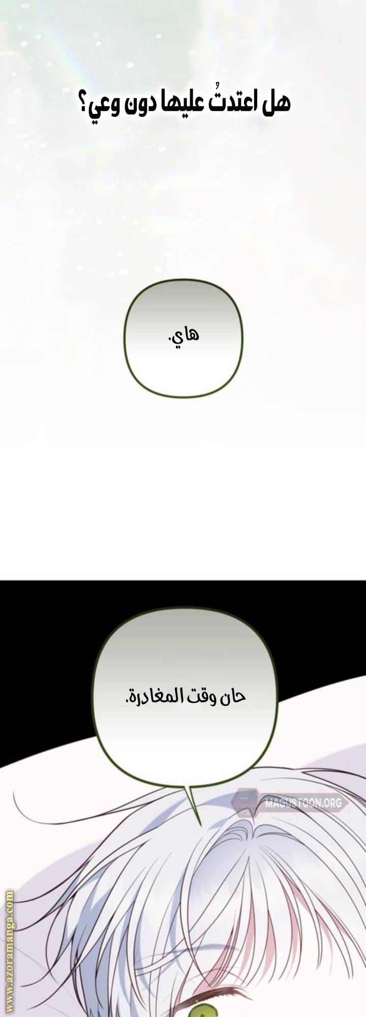 الصفحة 21