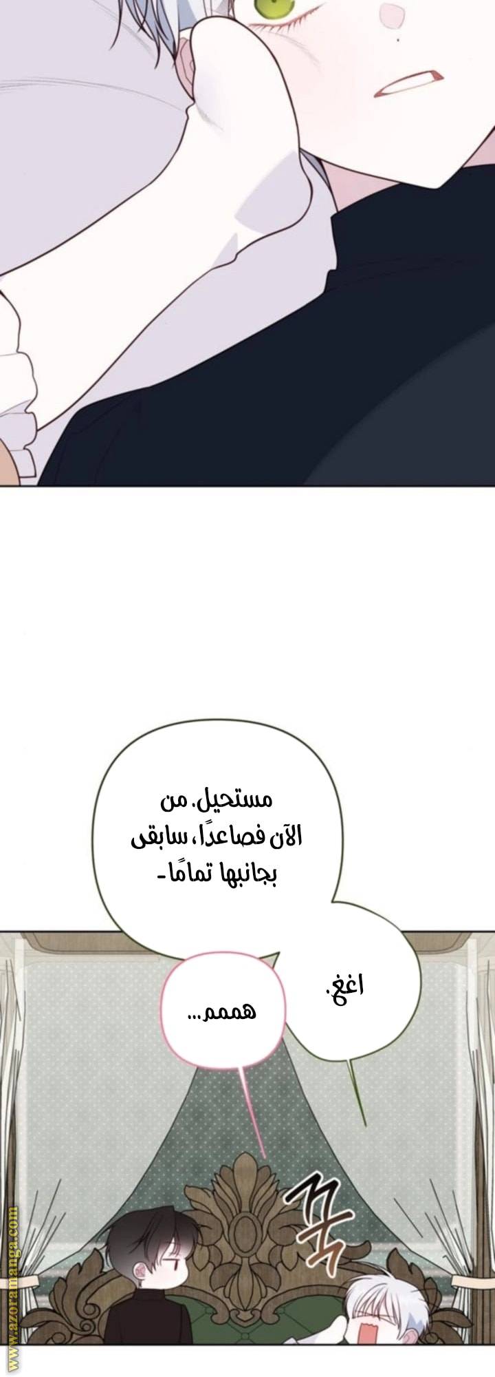 الصفحة 22