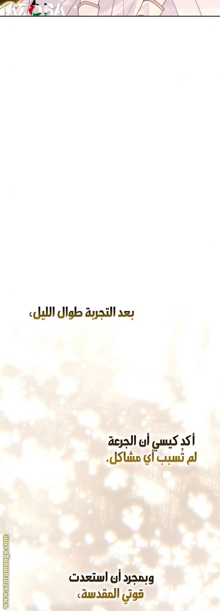 الصفحة 29