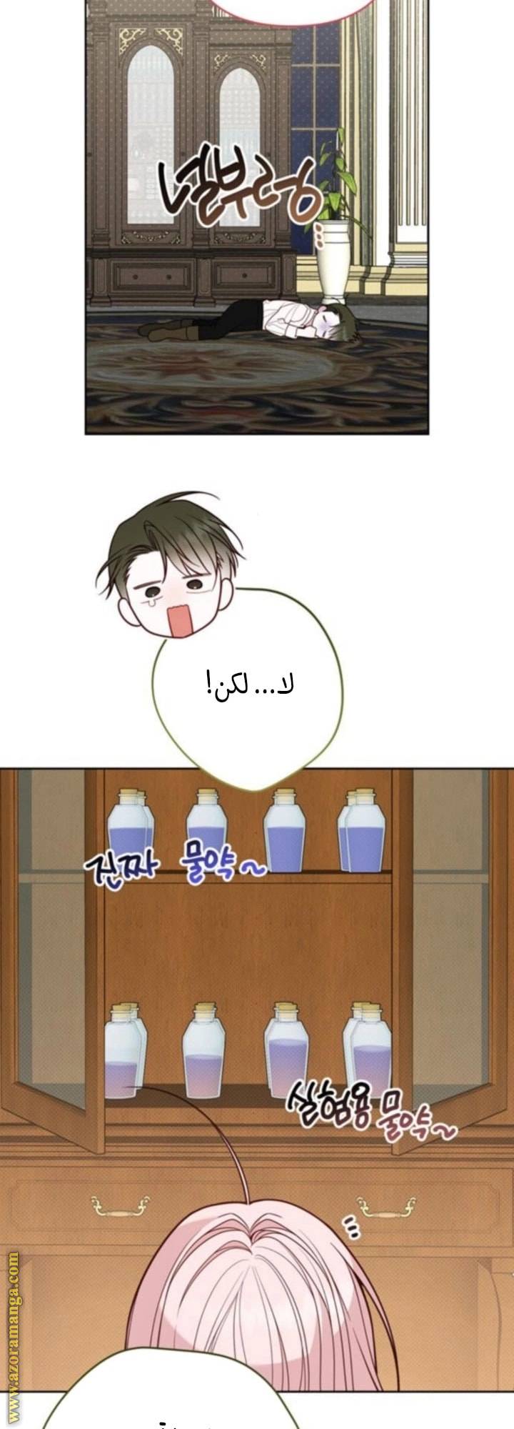الصفحة 14