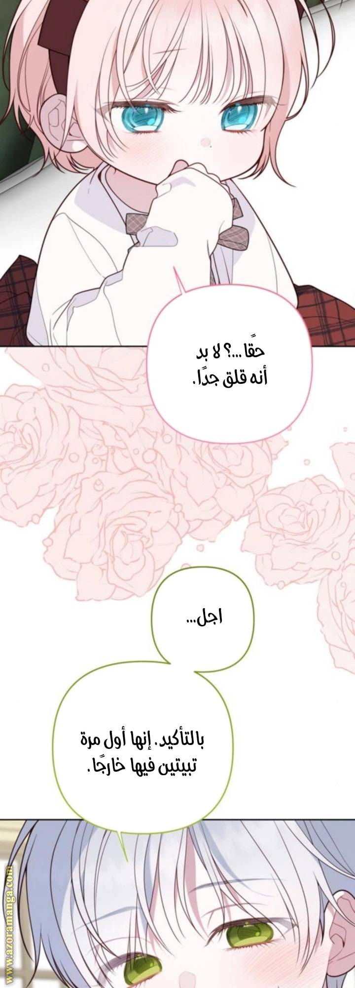 الصفحة 17