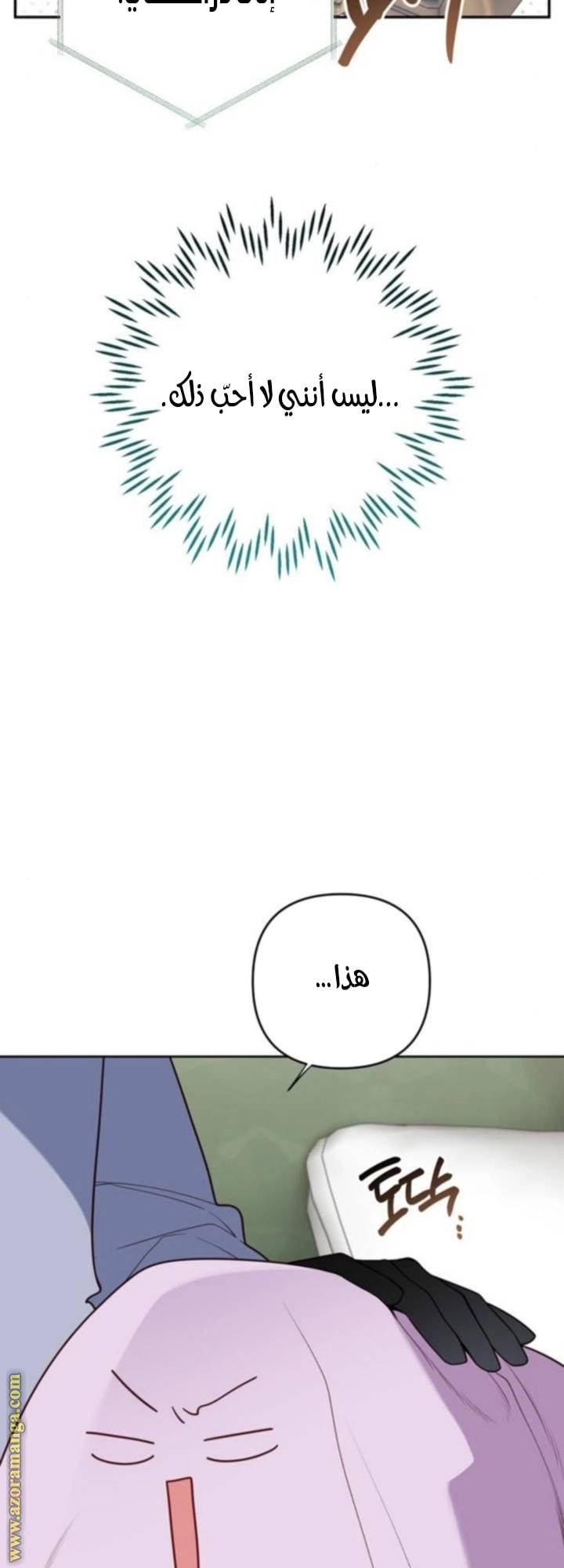 الصفحة 40