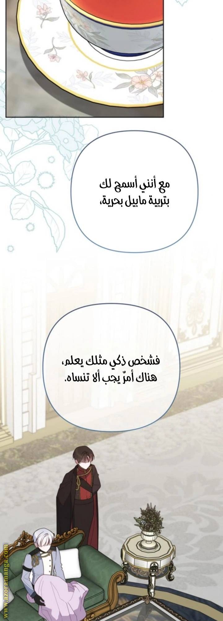 الصفحة 43