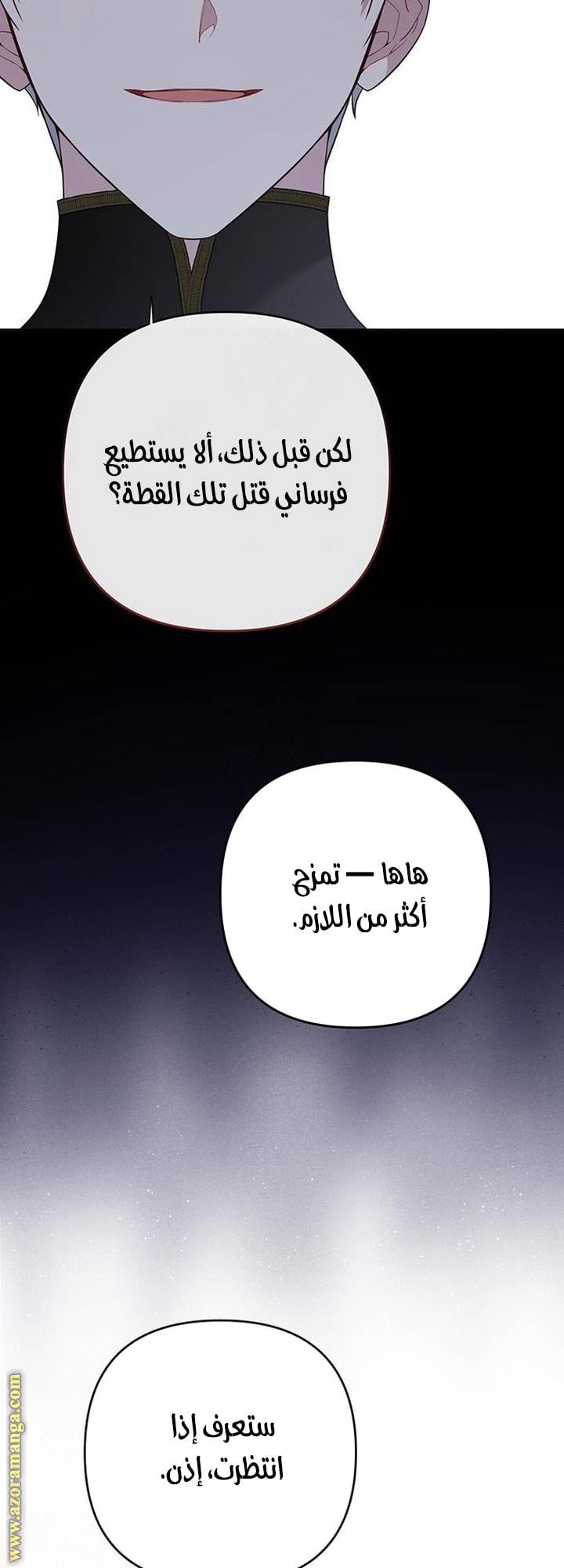 الصفحة 46