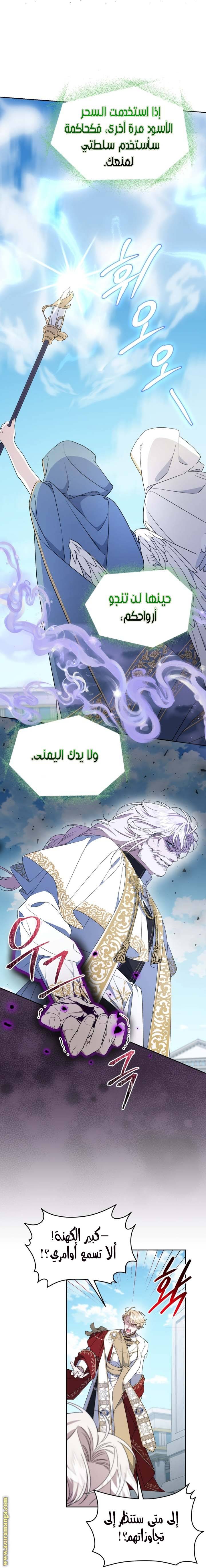 الصفحة 13
