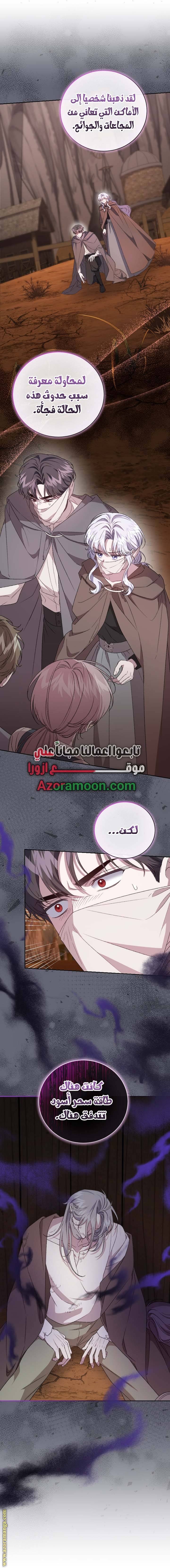 الصفحة 13