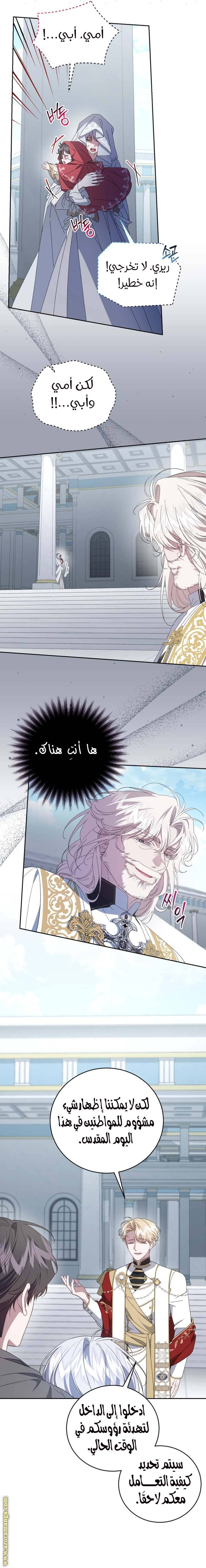 الصفحة 17