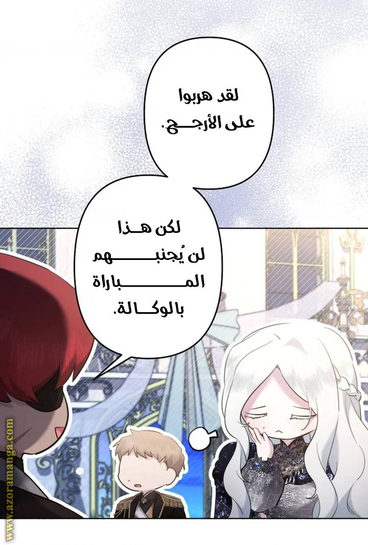 الصفحة 17