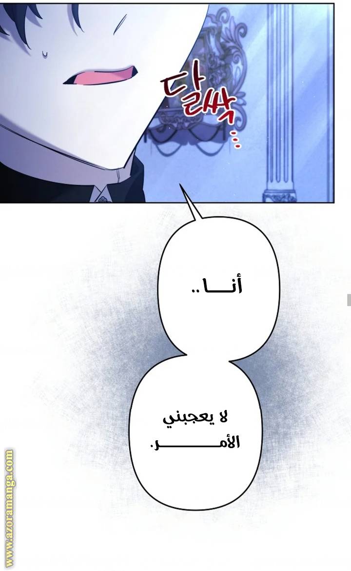 الصفحة 29