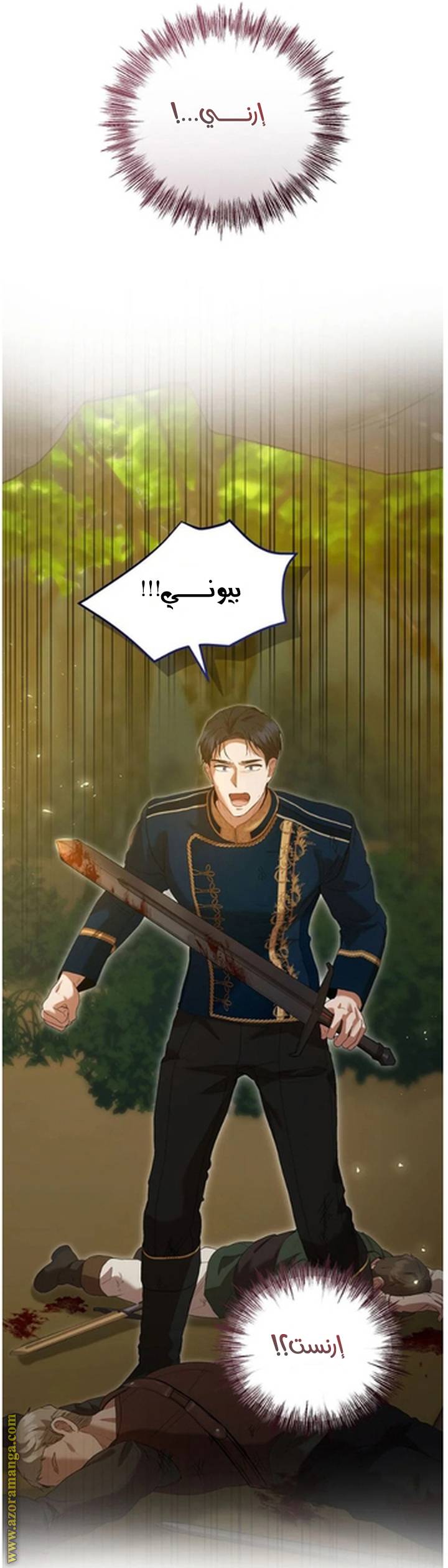 الصفحة 17