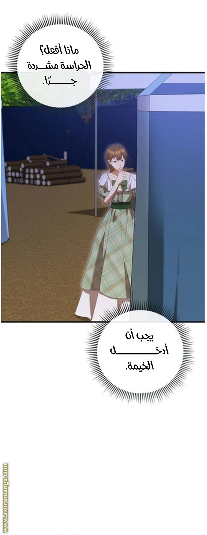 الصفحة 41