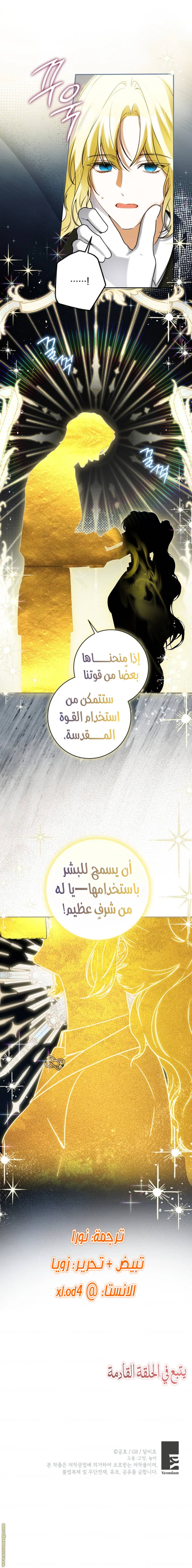 الصفحة 13