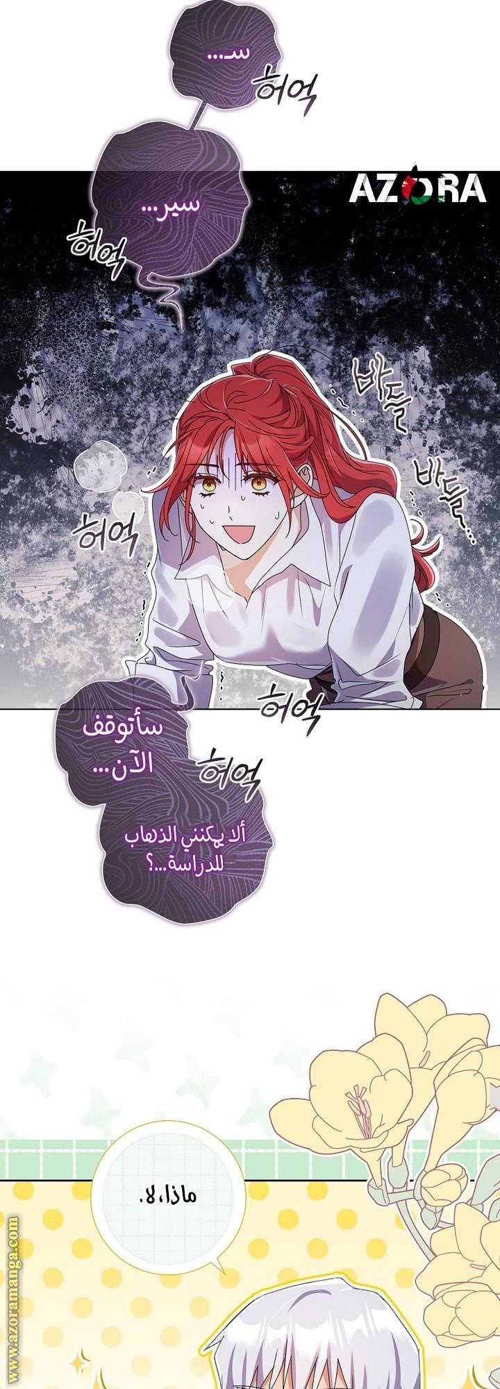 الصفحة 29