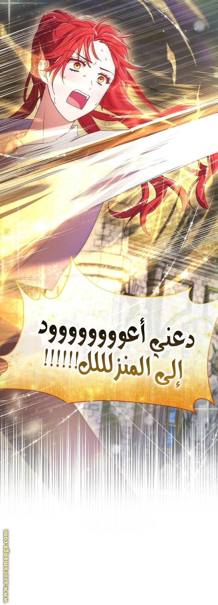 الصفحة 48