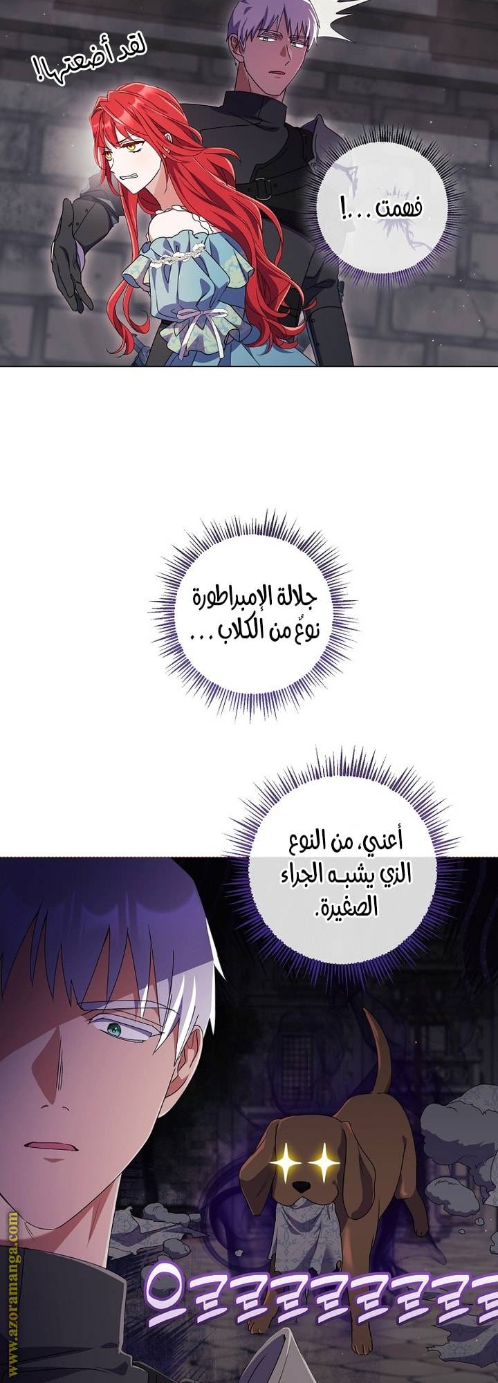 الصفحة 49
