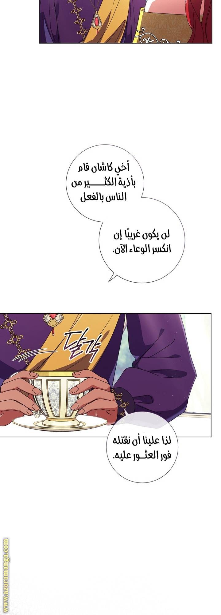 الصفحة 31