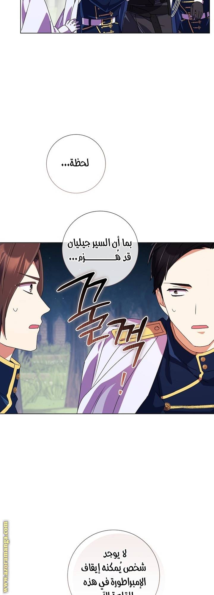 الصفحة 41