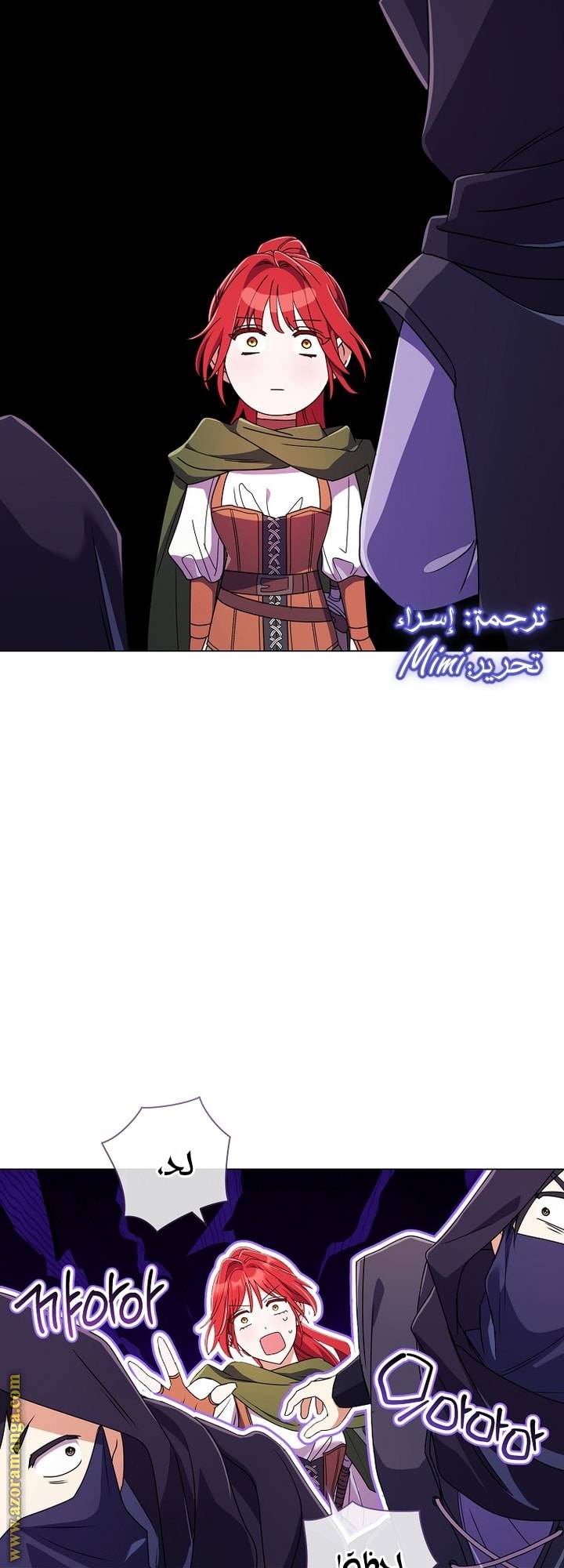 الصفحة 61