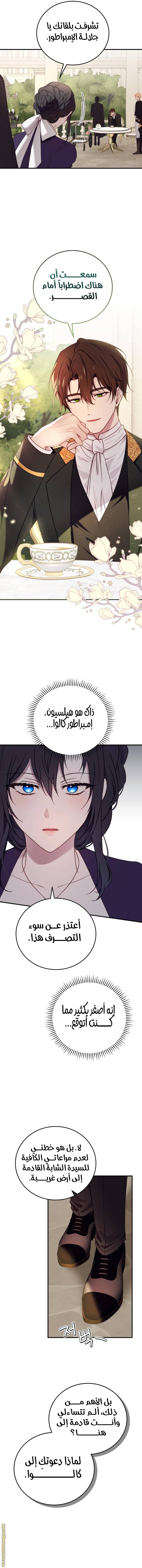 الصفحة 13