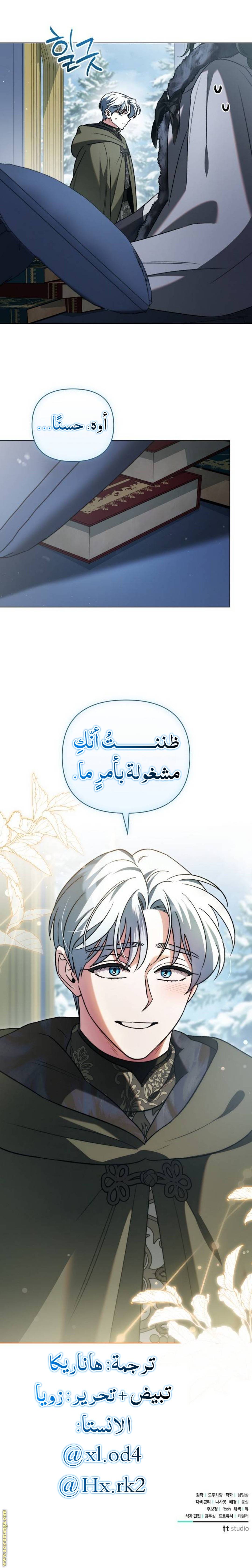 الصفحة 13