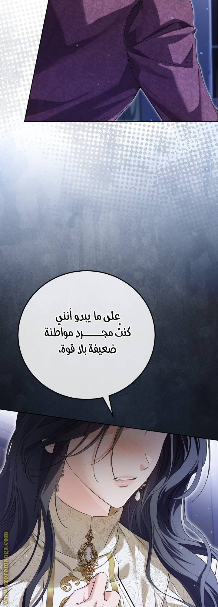 الصفحة 25