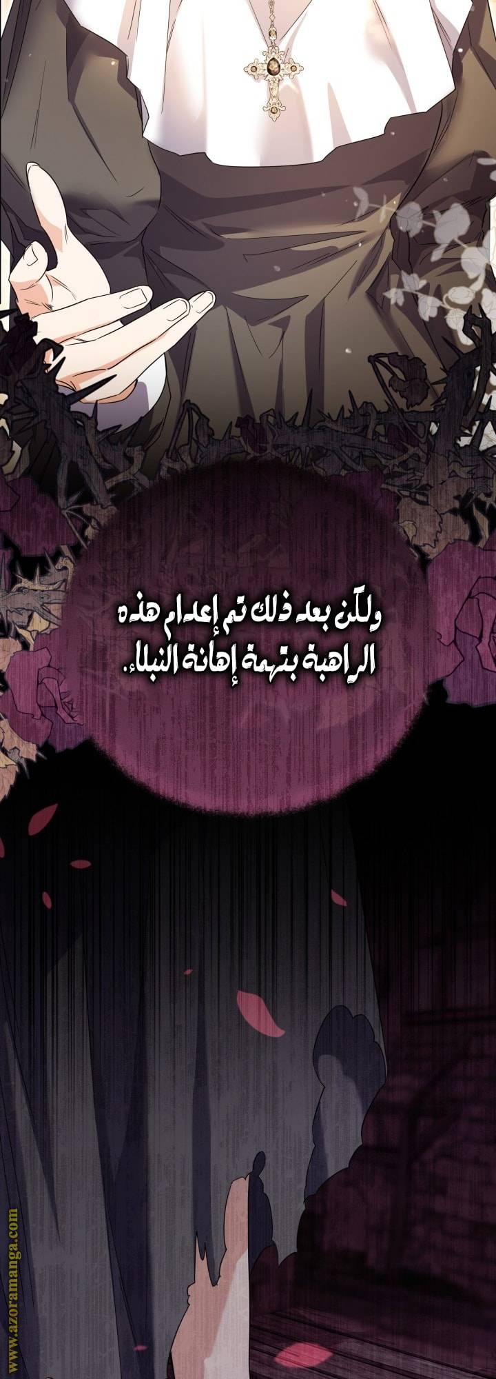 الصفحة 37