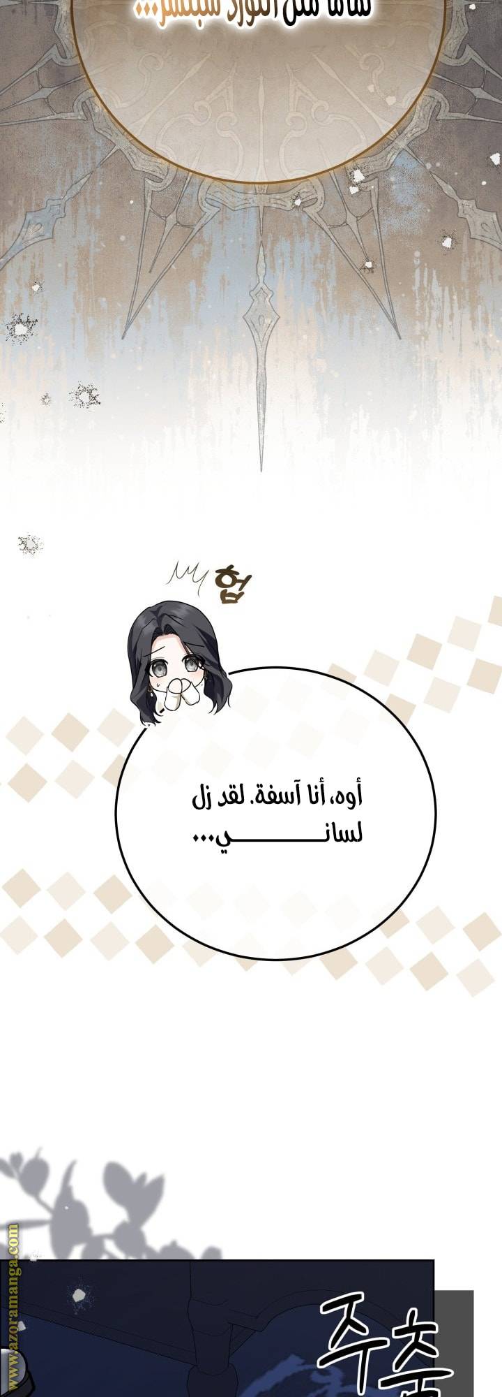 الصفحة 43