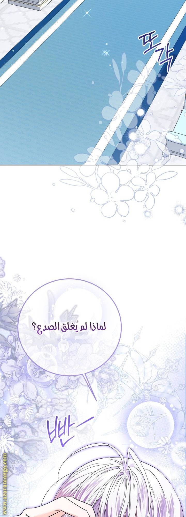 الصفحة 48