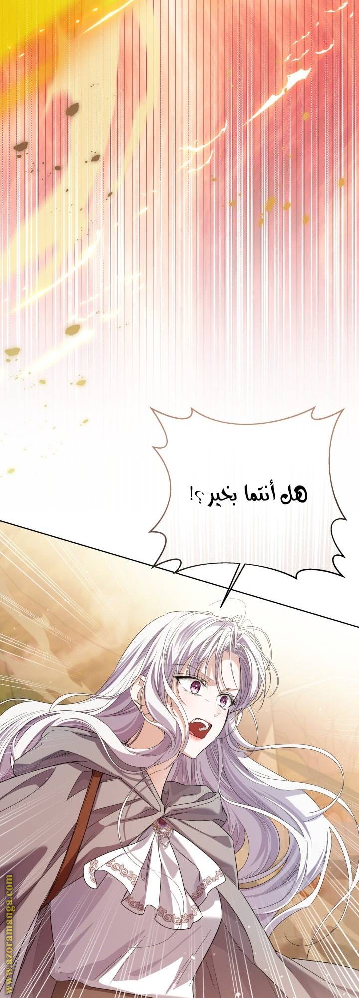 الصفحة 29