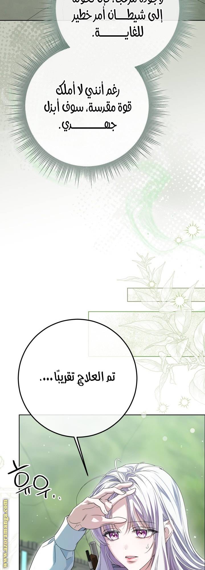 الصفحة 52