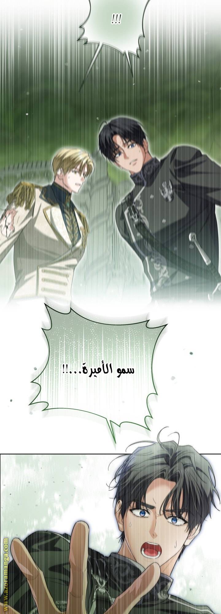 الصفحة 60
