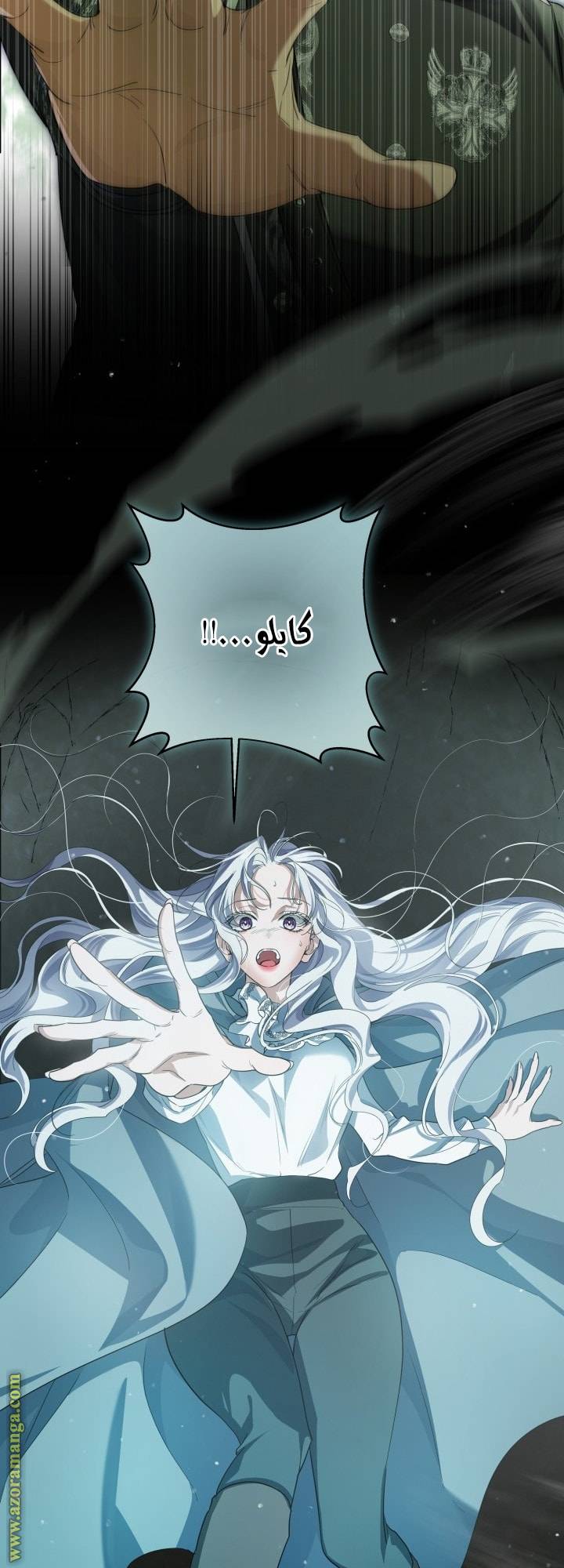 الصفحة 61