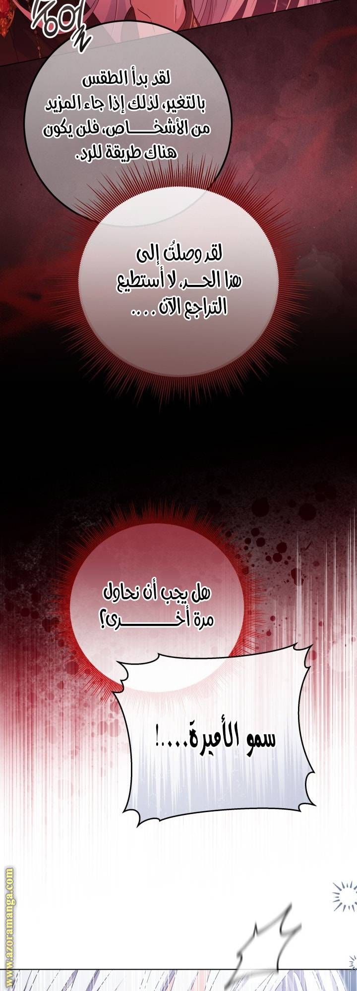الصفحة 13