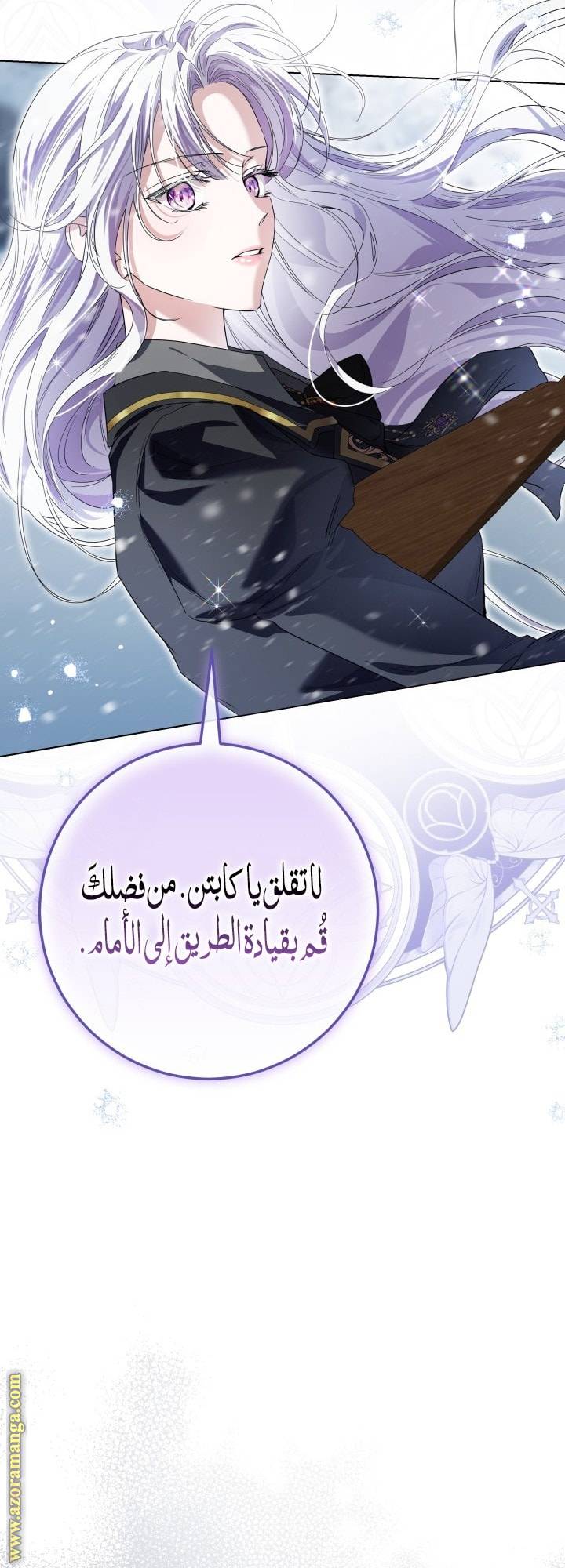 الصفحة 25