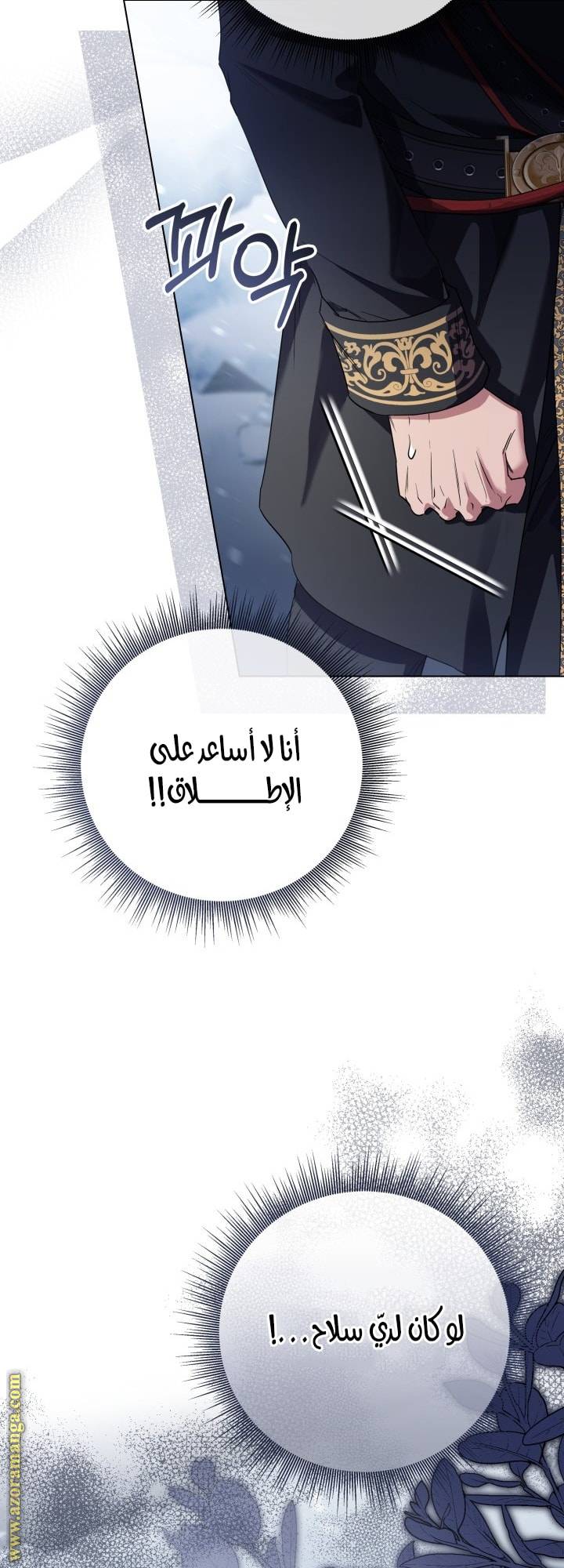 الصفحة 28