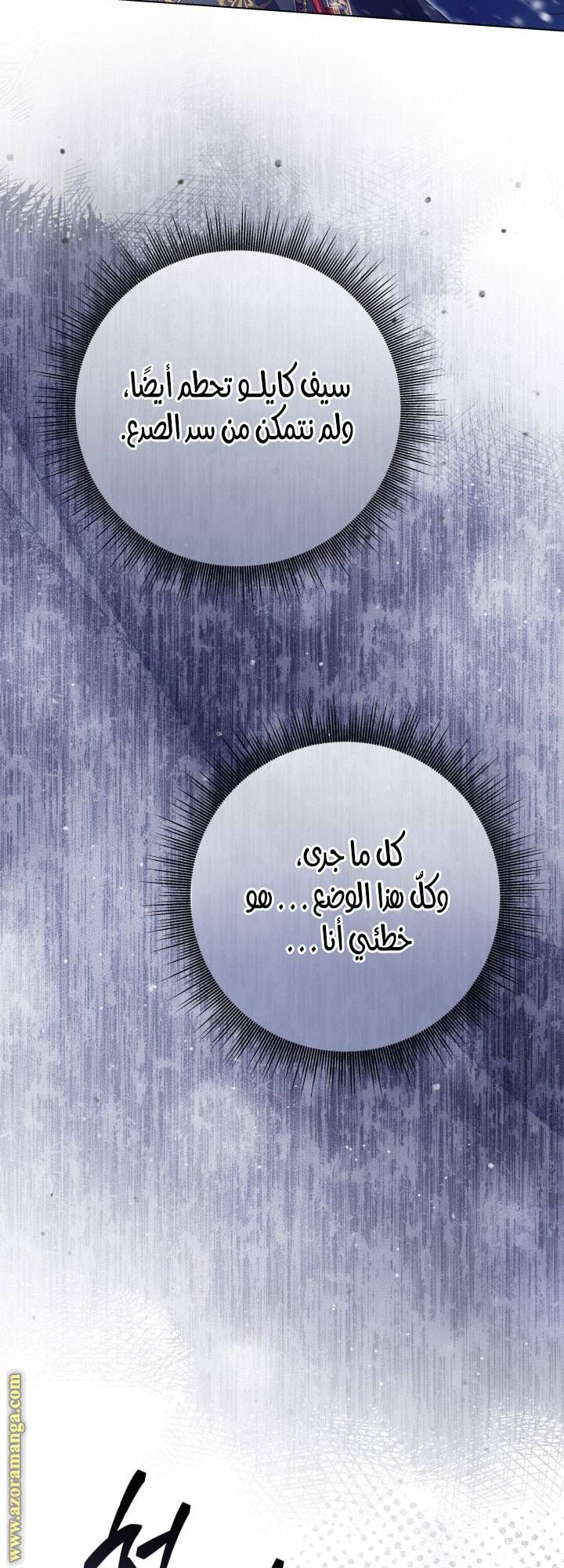 الصفحة 31